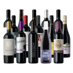 A collection of assorted wine bottles featuring various labels, some indicating types like Malbec, Cabernet Sauvignon, and Pinotage, with diverse design styles and colors of bottle caps.