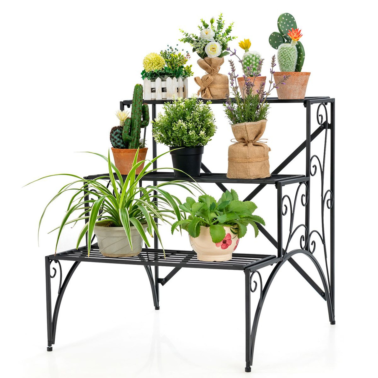 A black metal 3-tier plant stand holds various plants, including potted cacti, succulents, a spider plant, and other greenery. The stand has decorative scrollwork on its sides, providing organized and attractive plant display.