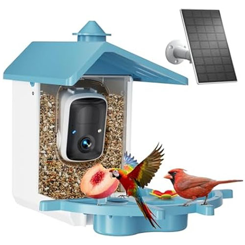 A smart bird feeder with a built-in camera and solar panel, featuring a blue roof and designed to attract and capture images of birds while they feed.
