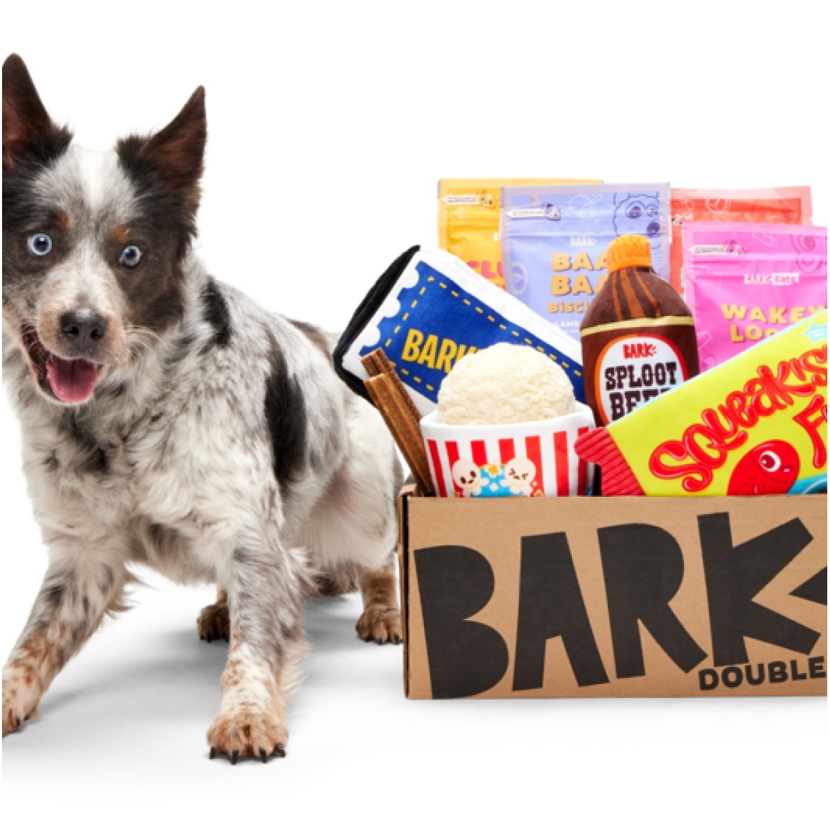 A happy dog stands next to a BARK branded box filled with dog treats and toys, including Bark Biscuits, Squeakies Fish, and Sploot Beer.