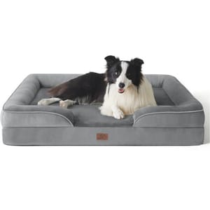 A black and white dog is lying on a gray rectangular dog bed with raised edges.