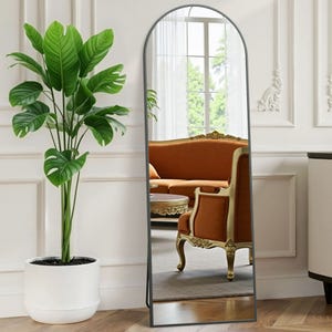 A tall mirror with a black frame reflects an orange, ornately designed chair and couch. To the left, there's a potted plant with large, green leaves in a white pot.