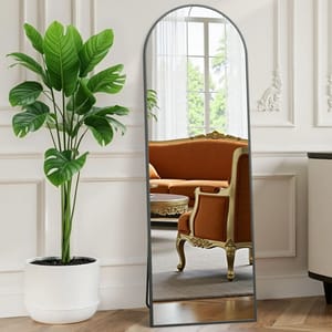 A tall mirror with a black frame reflects an orange, ornately designed chair and couch. To the left, there's a potted plant with large, green leaves in a white pot.