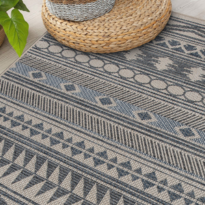A 5' x 7' area rug with geometric patterns in shades of blue and beige, featuring triangles, circles, and diamond shapes. It lies next to a woven basket and a green plant on light wooden flooring.
