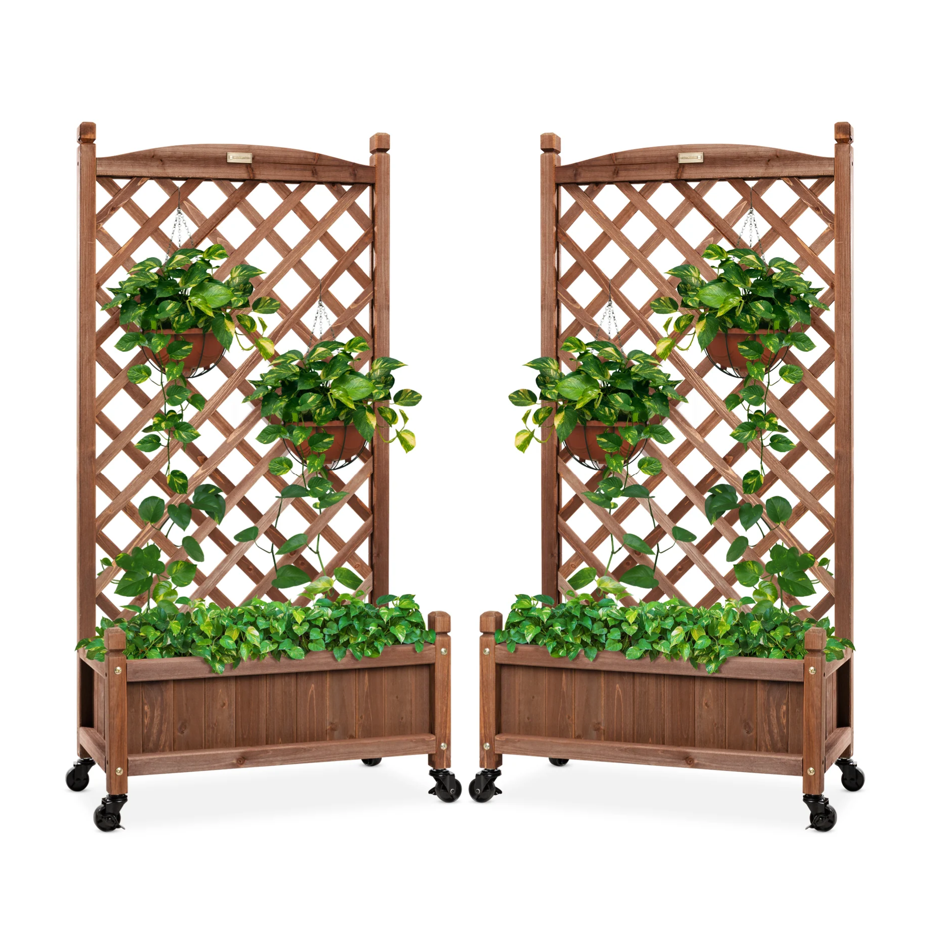 Two wooden planters with lattice trellises feature trailing plants and are equipped with wheels for easy mobility.