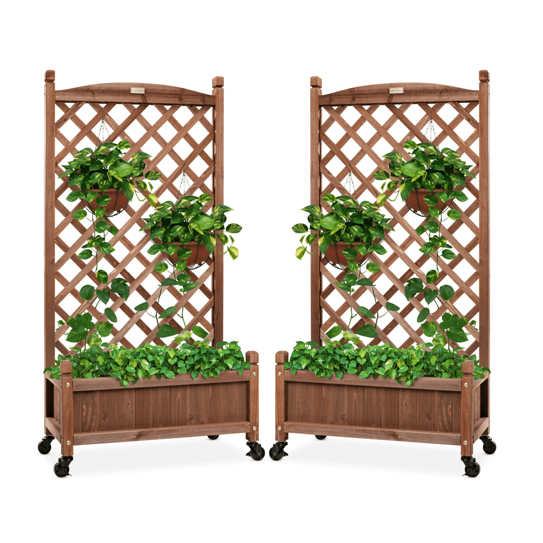 Two wooden planters with lattice trellises feature trailing plants and are equipped with wheels for easy mobility.