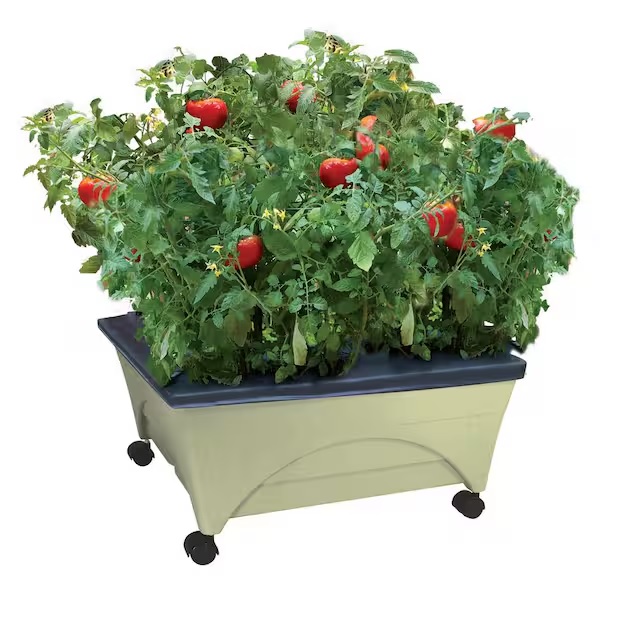 A raised garden bed kit on wheels with a black cover, featuring lush green plants and red tomatoes.