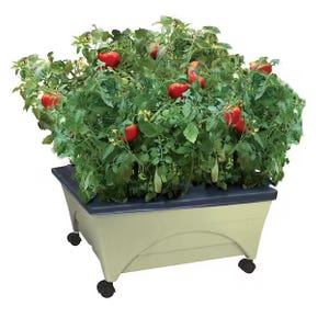 A raised garden bed kit on wheels with a black cover, featuring lush green plants and red tomatoes.