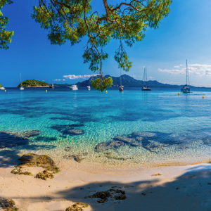 A tranquil beach scene with turquoise water, sandy shore, and distant boats anchored near small islands under a clear blue sky, with pine tree branches framing the view.