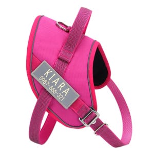 Bright pink dog harness with adjustable straps and a metal D-ring for leash attachment; features a custom name tag with \“KIARA\“ and phone number.