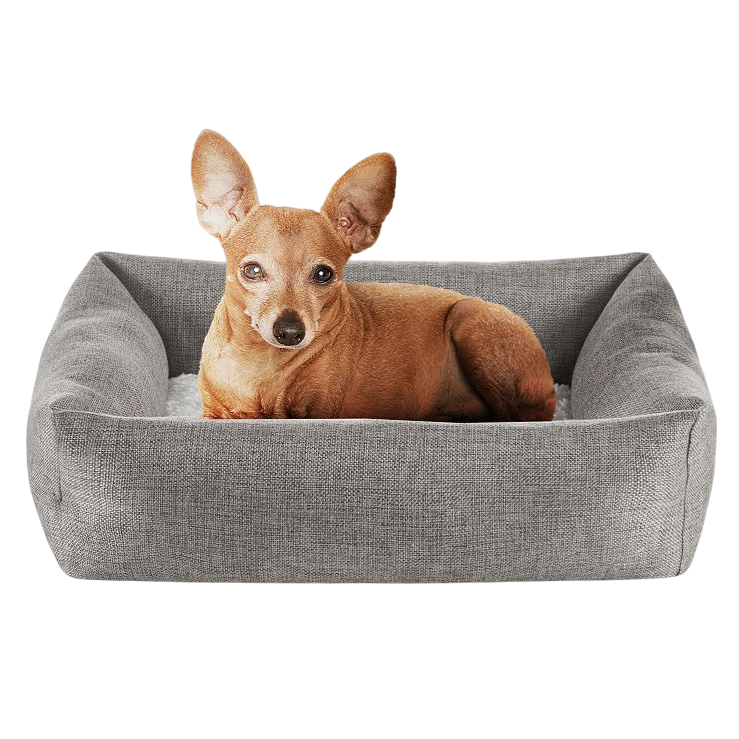 A small brown dog is lying in a rectangular gray fabric pet bed.