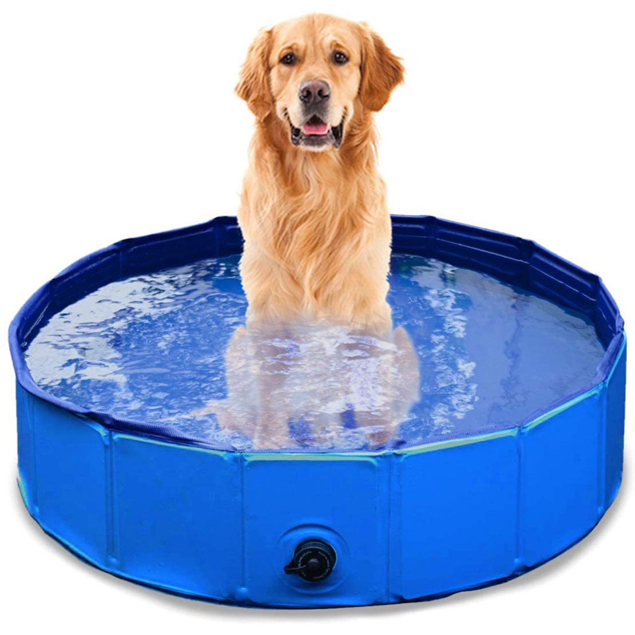 A golden retriever is sitting in a round, blue, portable pet pool filled with water. The pool features a rigid sidewall and a drainage valve.