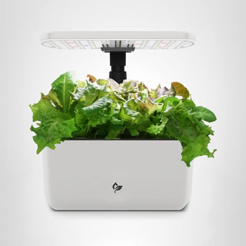 A countertop hydroponic garden featuring a white planter and an adjustable LED grow light, designed for growing leafy greens indoors.
