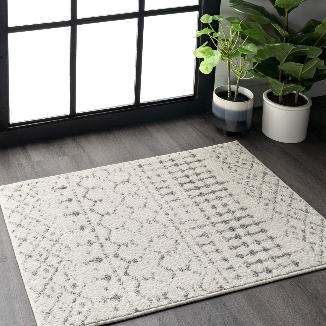 A light-colored area rug with a subtle geometric pattern lies on a dark wood floor near a large window, accompanied by two potted plants in decorative pots.