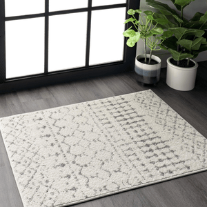 A light-colored area rug with a subtle geometric pattern lies on a dark wood floor near a large window, accompanied by two potted plants in decorative pots.