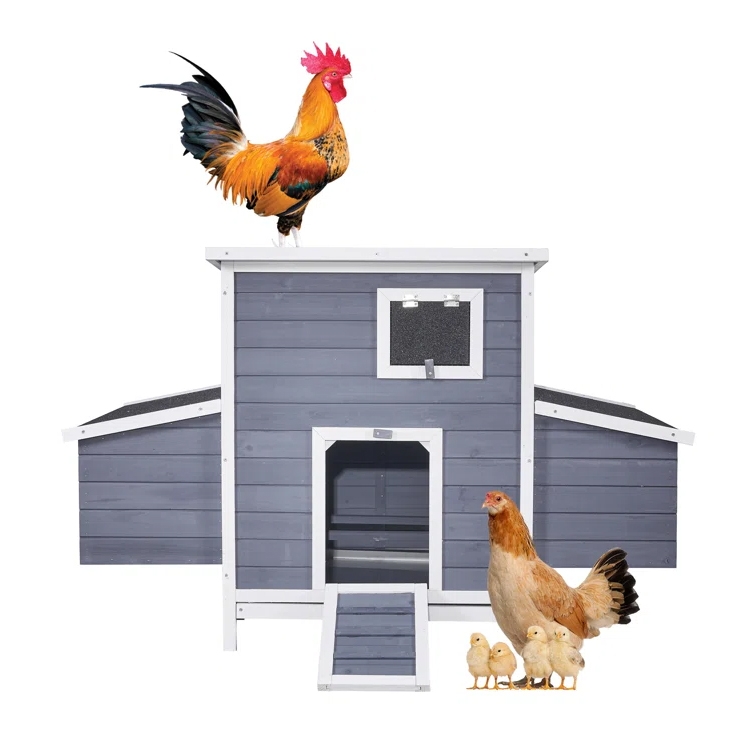 59\“ blue and white wooden chicken coop with a sloped roof, front ramp, and window ventilation; a rooster stands on top, and a hen with chicks are in front.
