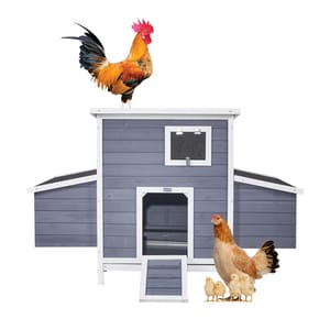 59\“ blue and white wooden chicken coop with a sloped roof, front ramp, and window ventilation; a rooster stands on top, and a hen with chicks are in front.