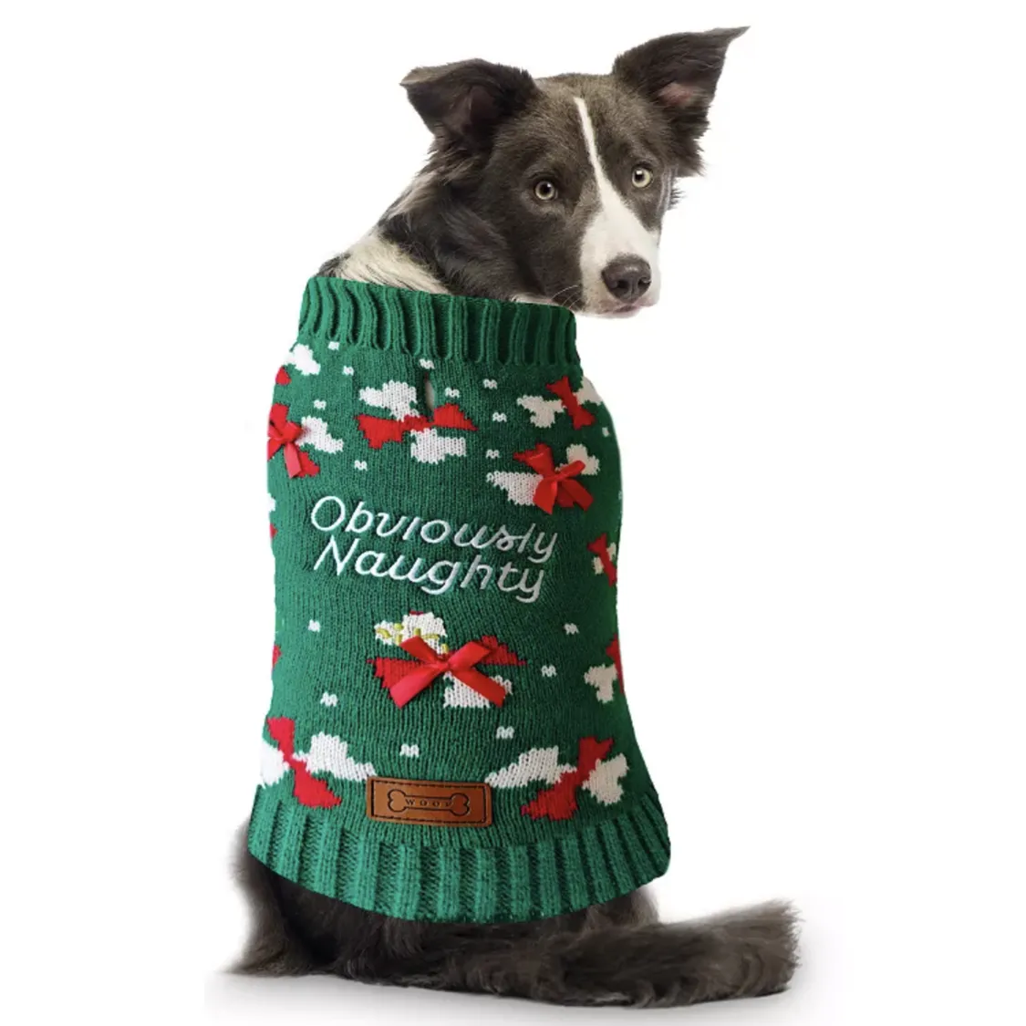 A dog wears a green Christmas sweater with \“Obviously Naughty\“ embroidered on it, featuring red bows and white snowflakes.