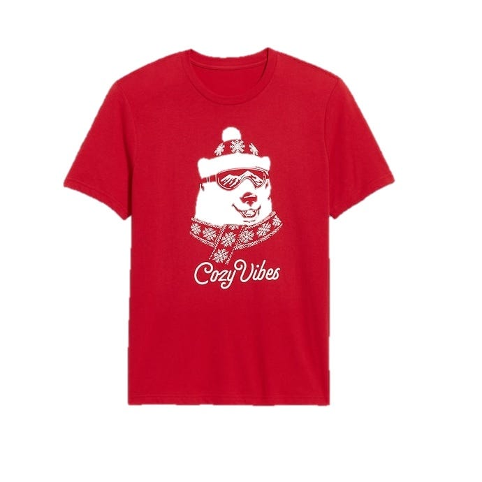 Red T-shirt featuring a white graphic of a bear wearing a beanie, goggles, and scarf with the text \“Cozy Vibes\“ beneath.