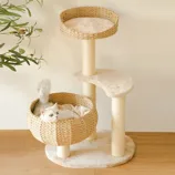 A cat rests in a basket built into a multi-tiered cat tree with sisal scratching posts and a plush platform. An olive plant is partially visible beside the setup.