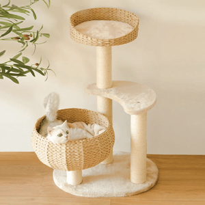 A cat rests in a basket built into a multi-tiered cat tree with sisal scratching posts and a plush platform. An olive plant is partially visible beside the setup.