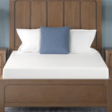 A wooden bed with a high headboard, white mattress, white pillows, and a blue decorative pillow is flanked by two wooden nightstands with modern lamps and a small plant.