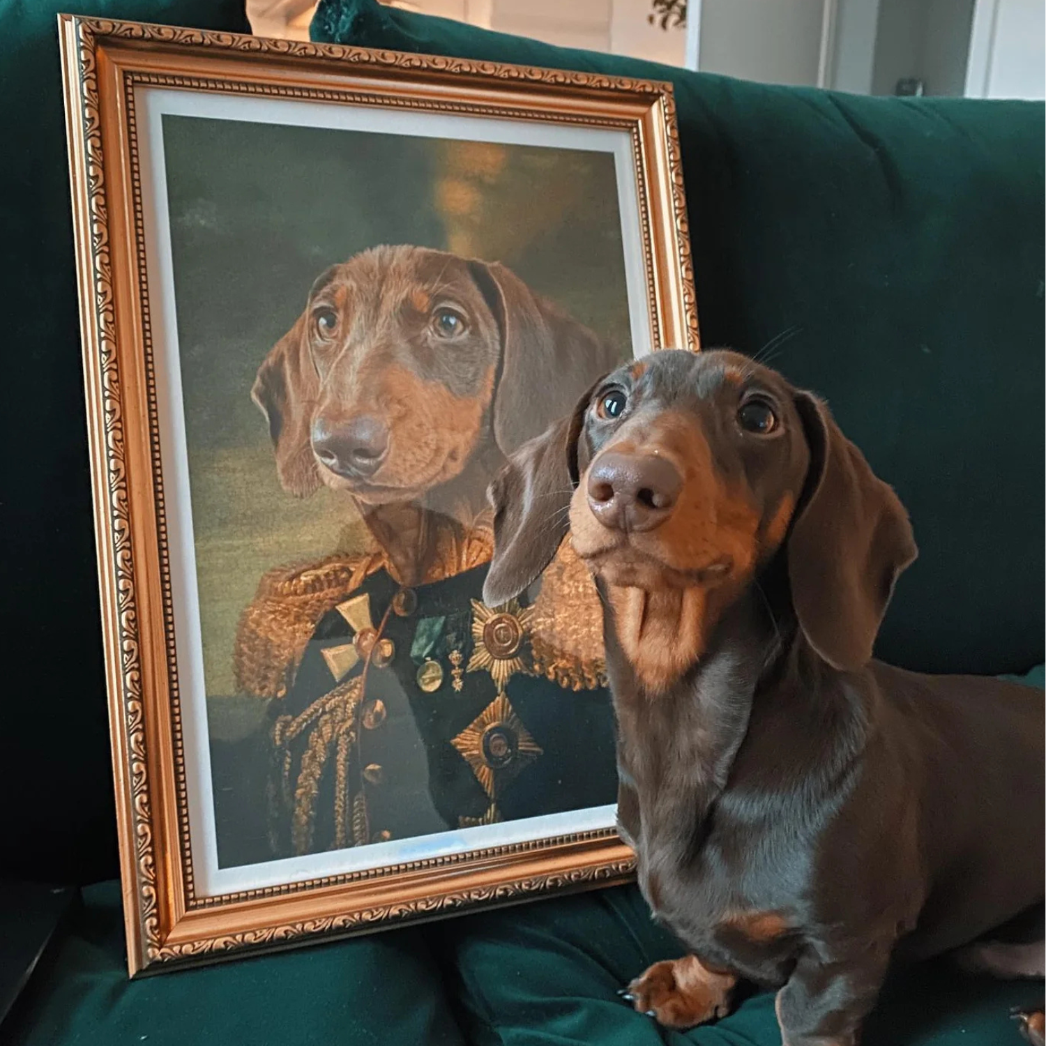 A dachshund sits beside a framed portrait depicting it as a noble figure in military attire.