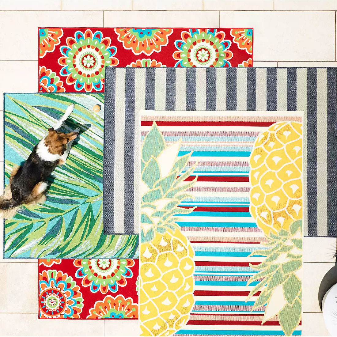 Four colorful rugs with different patterns: a floral design on a red background, a tropical leaf design with a dog lying on it, a striped pattern, and a pineapple design on stripes.