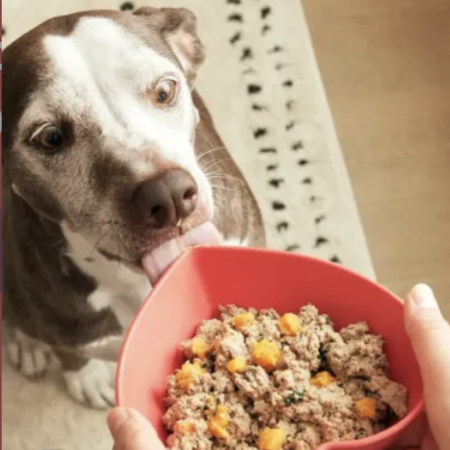 A dog eagerly approaches a heart-shaped bowl filled with a mixture of ground meat and vegetables, held by a person. The setting includes a patterned rug and wooden floor.