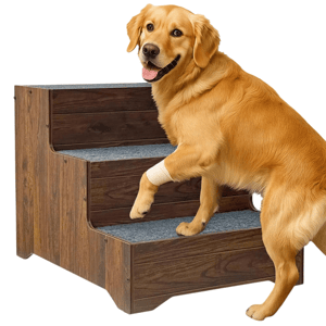 A dog is using a wooden staircase with carpeted steps, designed to assist pets in climbing.