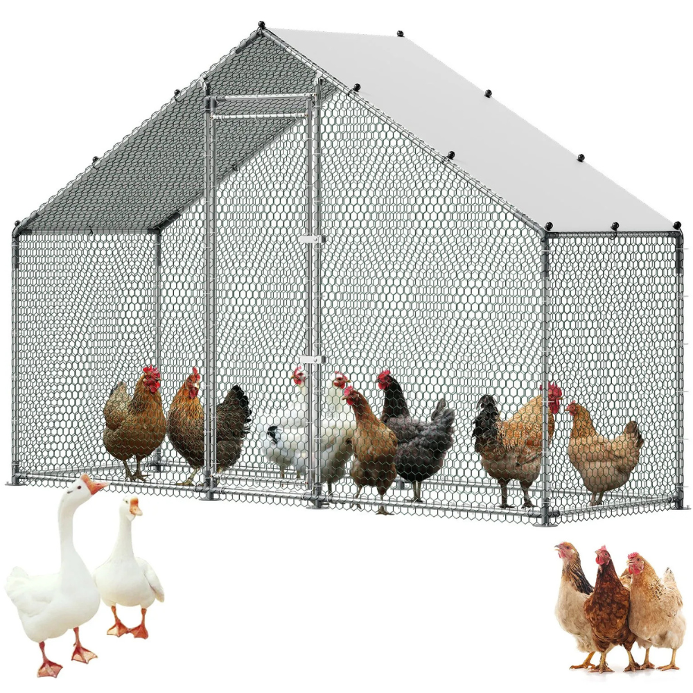 A metal chicken coop with wire mesh and a peaked roof, housing multiple chickens. Two ducks and a group of chickens are outside.