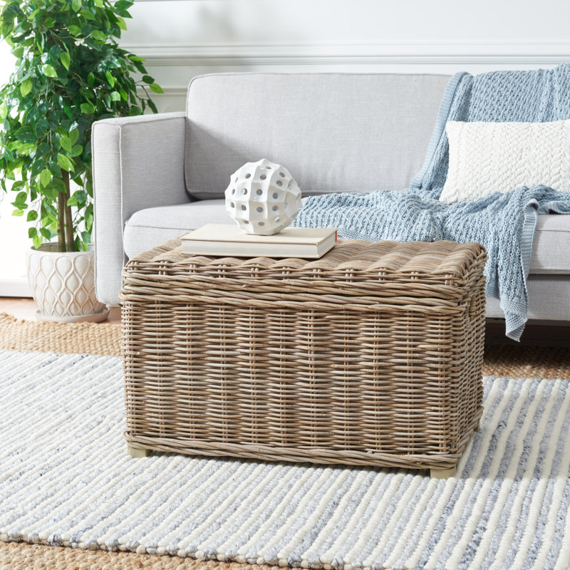 A light gray sofa with a knitted throw and cushion is paired with a wicker storage trunk used as a coffee table, placed on a striped rug. A potted plant adds greenery, and books and a decorative sculpture rest atop the trunk.