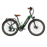 Green electric bike with step-through frame, leather saddle, and handle grips; equipped with rear cargo rack, front and rear lights, and fenders.