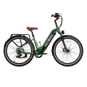 Green electric bike with step-through frame, leather saddle, and handle grips; equipped with rear cargo rack, front and rear lights, and fenders.