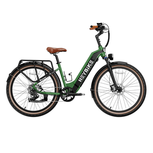Green electric bike with step-through frame, leather saddle, and handle grips; equipped with rear cargo rack, front and rear lights, and fenders.