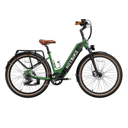 Green electric bike with step-through frame, leather saddle, and handle grips; equipped with rear cargo rack, front and rear lights, and fenders.