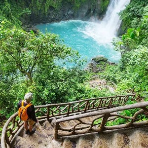 A person with a backpack walks down a wooden, vine-like staircase towards a vibrant waterfall and turquoise pool surrounded by lush greenery.