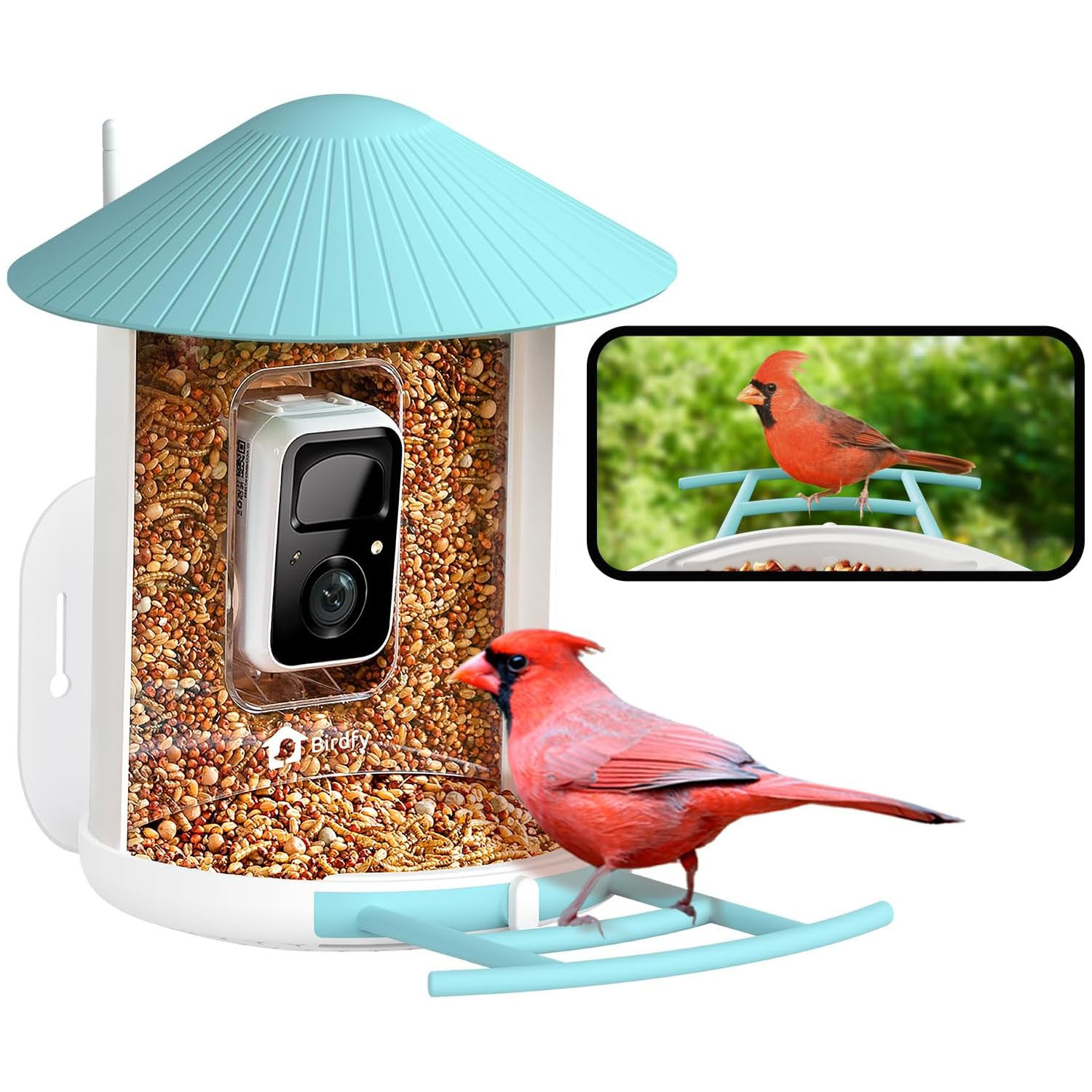 A bird feeder with a built-in smart camera, topped with a light blue roof and containing birdseed. It records and displays images of birds, as shown by the cardinal on the feeder and the connected device screen.