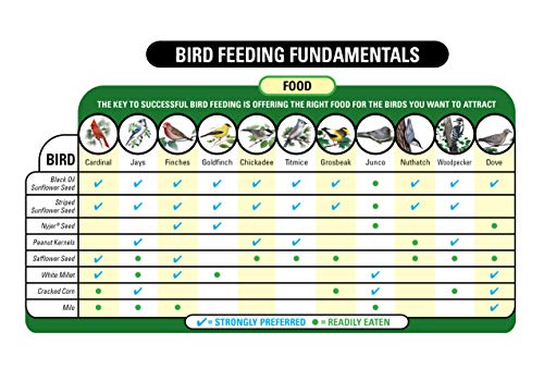 This is a chart illustrating bird feeding fundamentals, showing which types of food are strongly preferred or readily eaten by various bird species such as cardinals and finches.