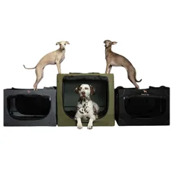 Three soft-sided dog crates are shown with two Italian Greyhounds standing on top and a Dalmatian lying inside the middle crate.