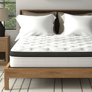 A neatly made bed with a white and black tufted mattress sits on a wooden platform, accompanied by two white pillows. The room includes a nightstand with a lamp, a potted plant, and a framed wall art piece.