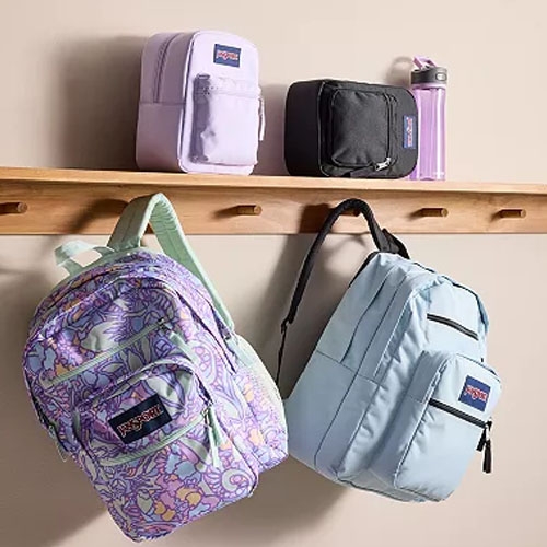 one purple backpack and one blue backpack on a hanger