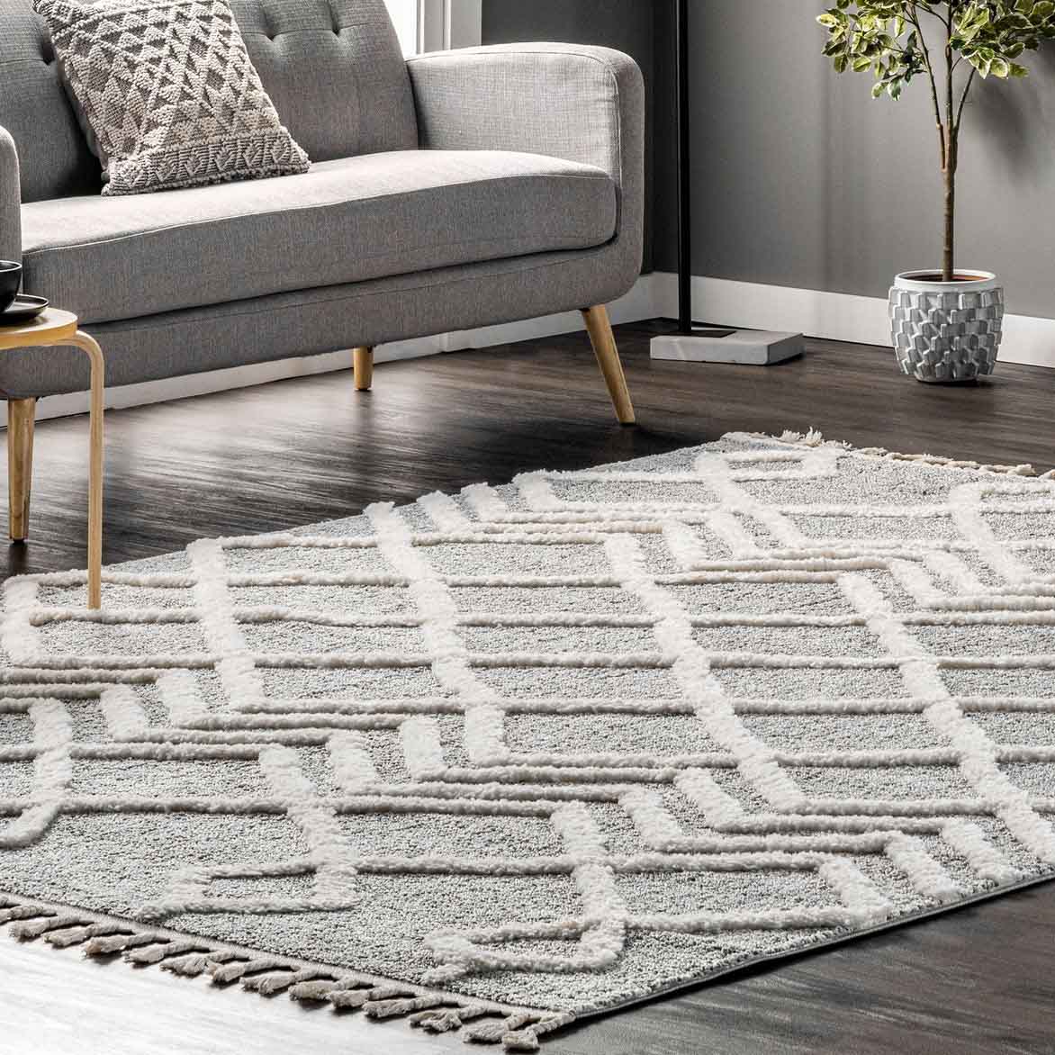 A 4' x 6' area rug with a textured geometric pattern in light gray and white tones, featuring tassels on the edges. The rug is placed on a dark wood floor next to a gray sofa and contemporary decor.
