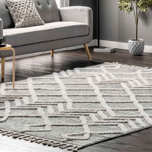 A 4' x 6' area rug with a textured geometric pattern in light gray and white tones, featuring tassels on the edges. The rug is placed on a dark wood floor next to a gray sofa and contemporary decor.