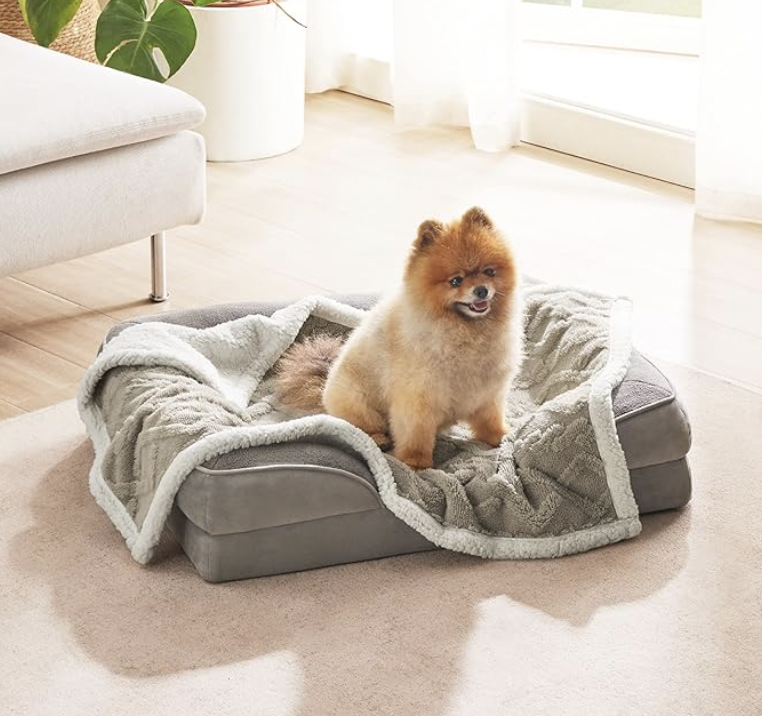 A fluffy, orange and cream dog sits on a cozy, gray pet bed covered with a soft, textured blanket in a bright room with light wooden flooring and a fabric couch.