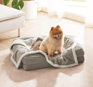 A fluffy, orange and cream dog sits on a cozy, gray pet bed covered with a soft, textured blanket in a bright room with light wooden flooring and a fabric couch.