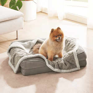 A fluffy, orange and cream dog sits on a cozy, gray pet bed covered with a soft, textured blanket in a bright room with light wooden flooring and a fabric couch.