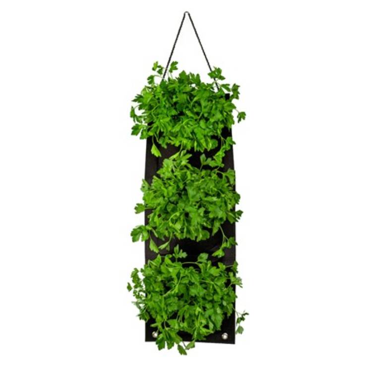A vertical hanging planter with three black fabric pockets, filled with vibrant green plants, ideal for growing herbs or small plants in compact spaces.