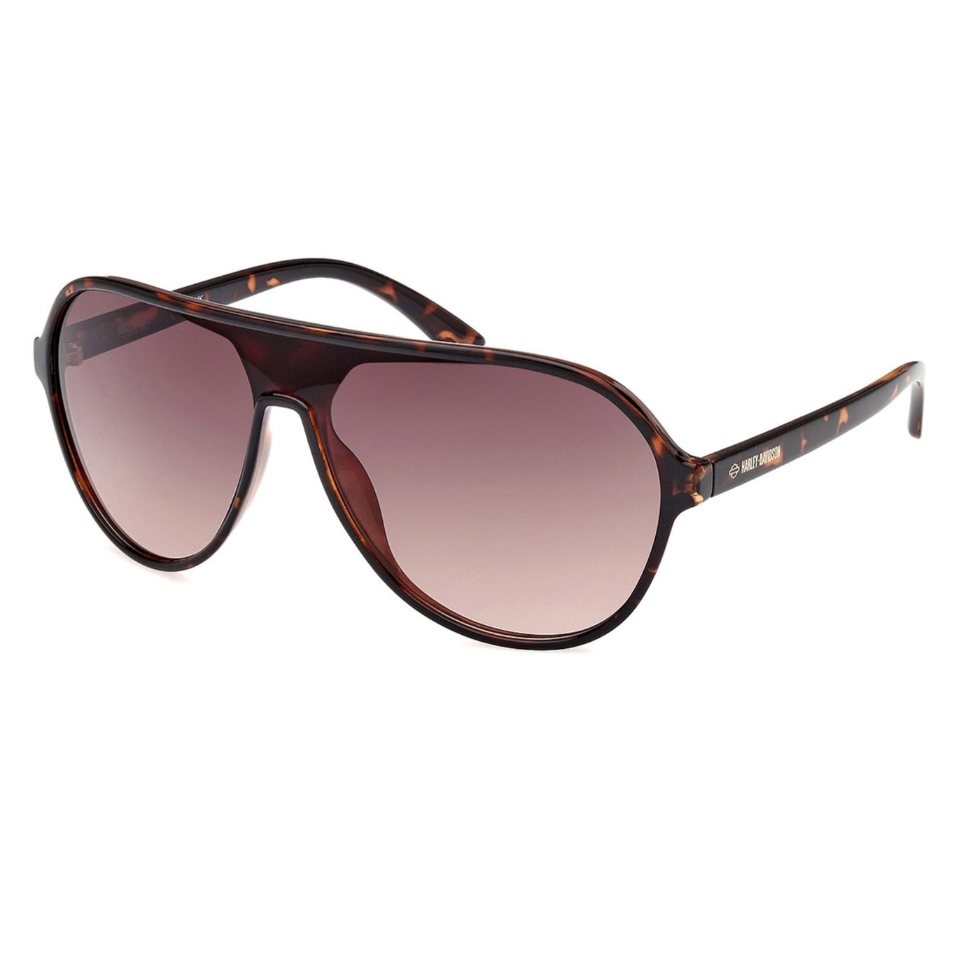 Tortoise shell aviator sunglasses with gradient brown lenses and Harley-Davidson branding on the arms.