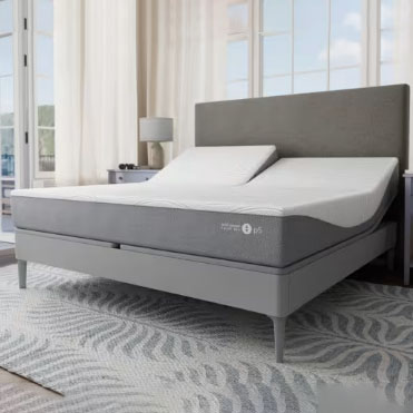 An adjustable bed with a gray upholstered frame, featuring a split mattress design for customizable comfort. The setup is in a bright room with large windows, a nightstand, and a lamp.